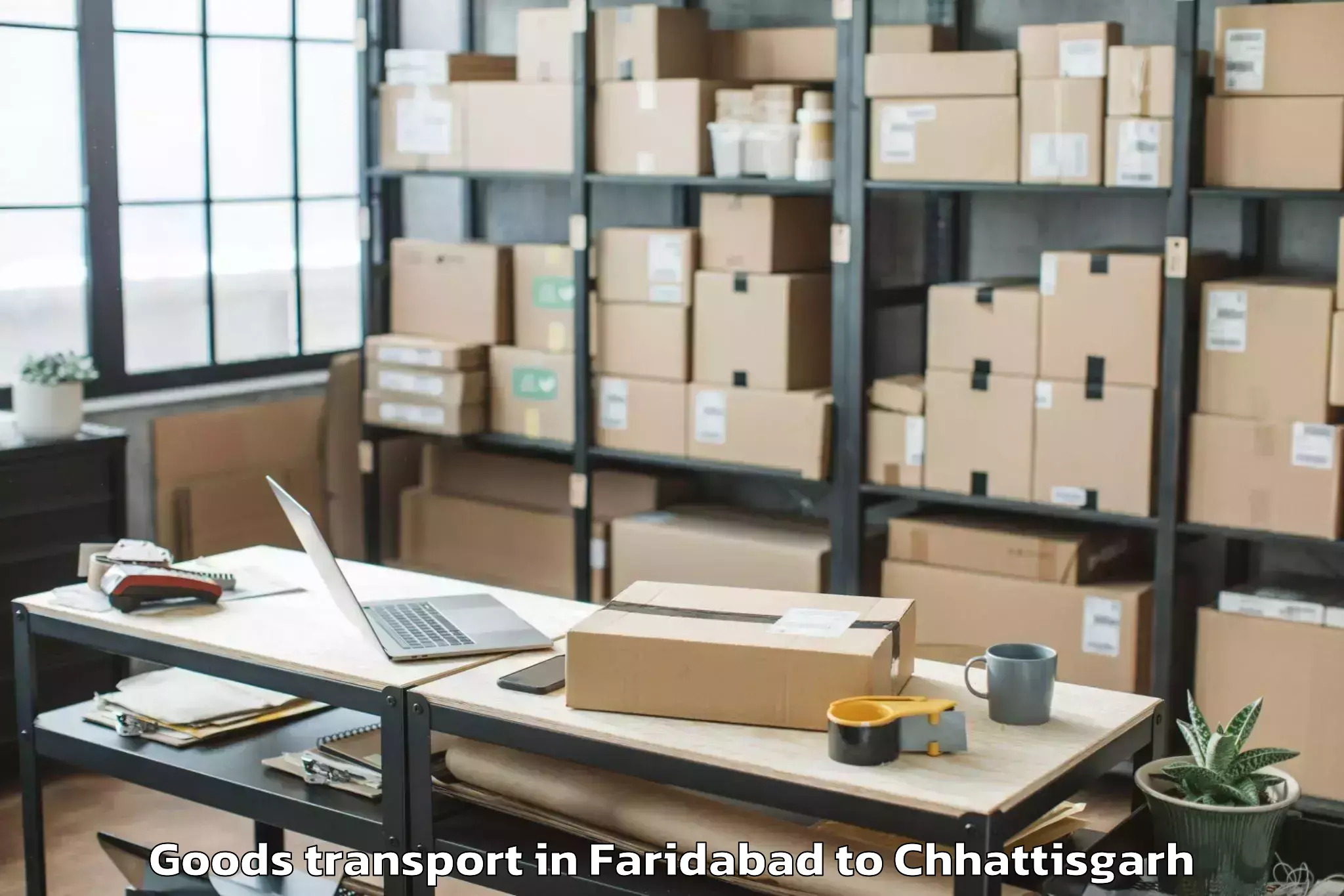 Quality Faridabad to Bhatapara Goods Transport